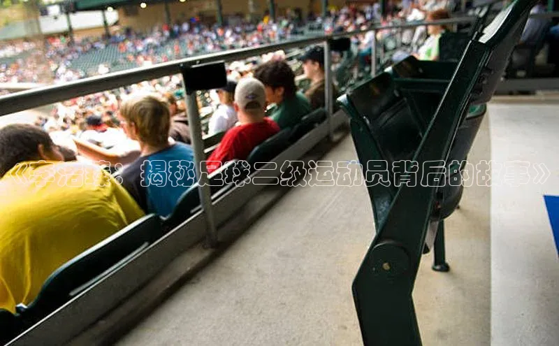 恒行官网登录入口顺丰《李浩臻：揭秘足球二级运动员背后的故事》