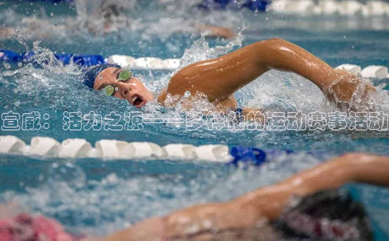 宣威：活力之源——多样化的运动赛事活动