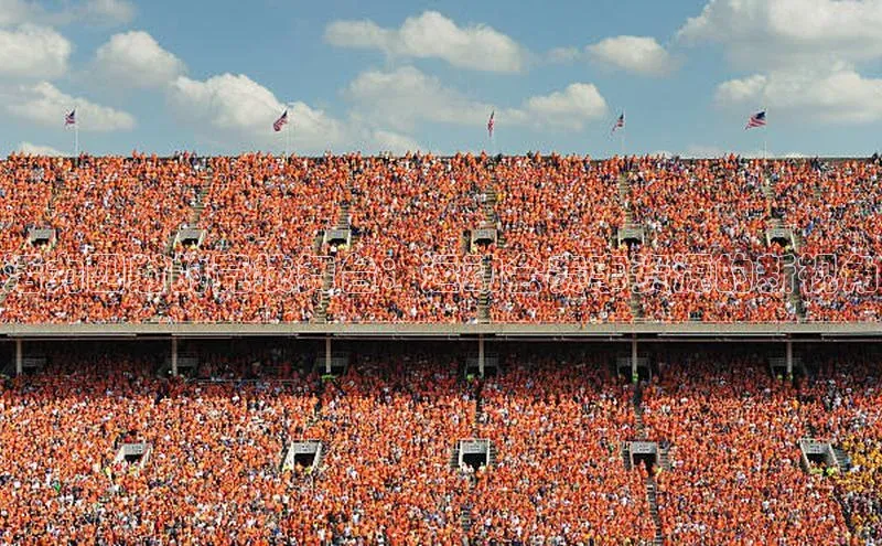 活力四射的竞技舞台：运动会赛事资源的新视角