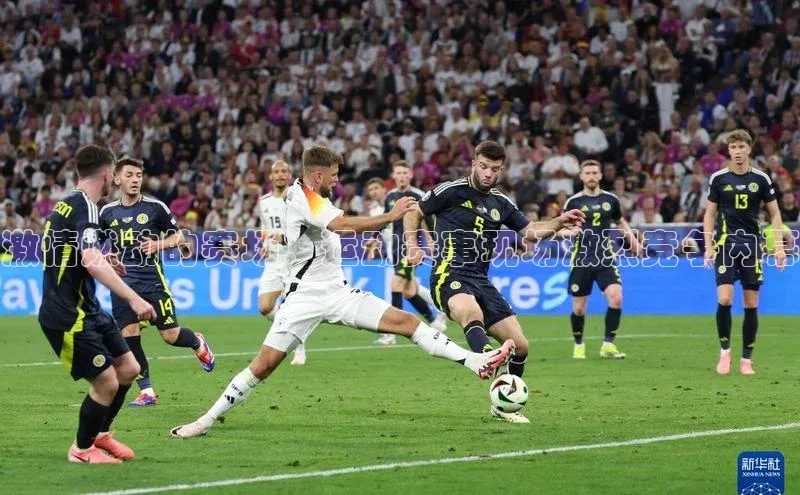 激情燃动的赛场：运动赛事现场激烈竞争内幕