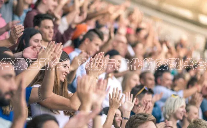 省级运动会：竞技与文化的交融盛宴