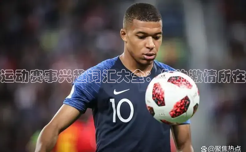 运动赛事兴趣词汇大全：你的激情所在