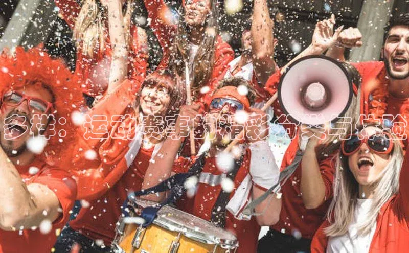 多样：运动赛事的精彩分类与体验