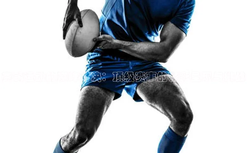 赛鸽运动的巅峰对决：顶级赛事的精彩呈现与挑战