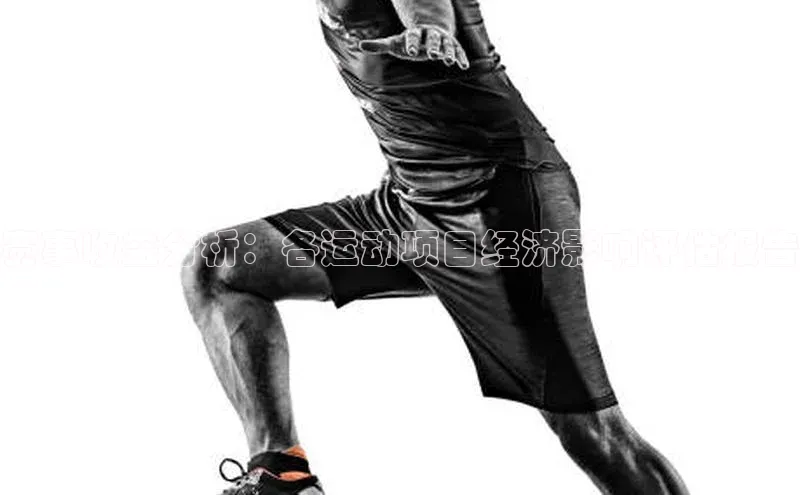 赛事收益分析：各运动项目经济影响评估报告