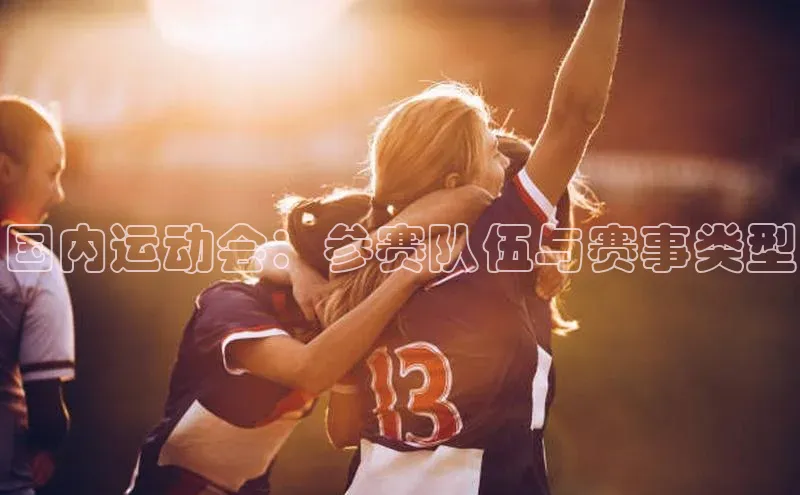 国内运动会：参赛队伍与赛事类型