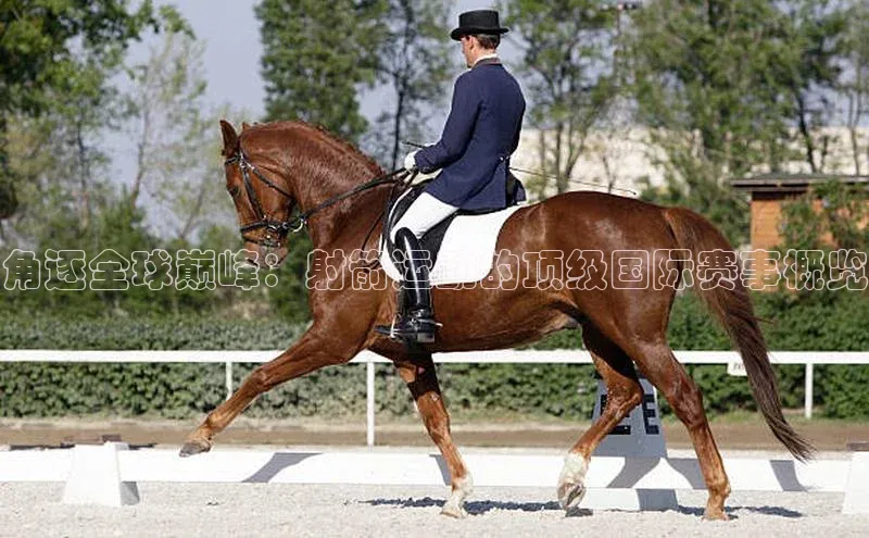 角逐全球巅峰：射箭运动的顶级国际赛事概览