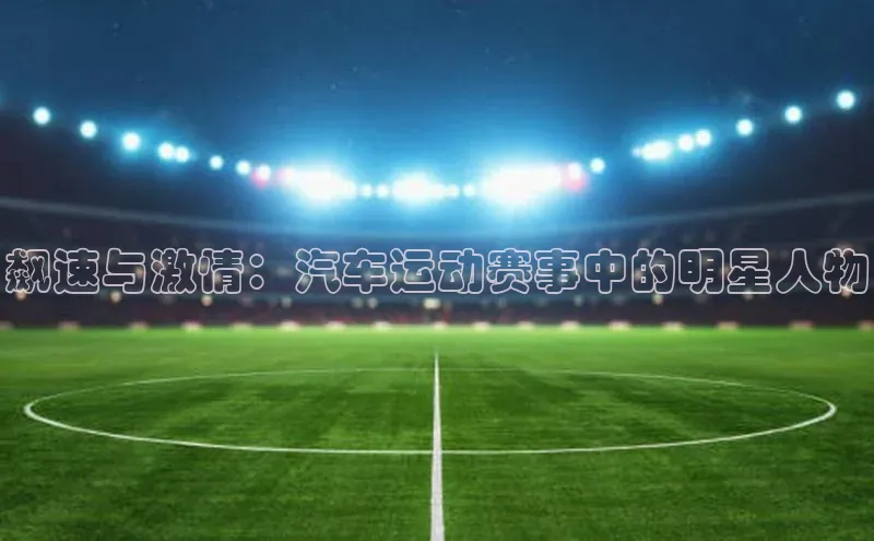 飙速与激情：汽车运动赛事中的明星人物