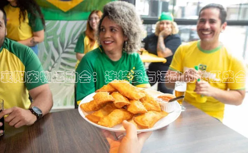 襄阳宠物运动会：连接爱与运动的社区盛会