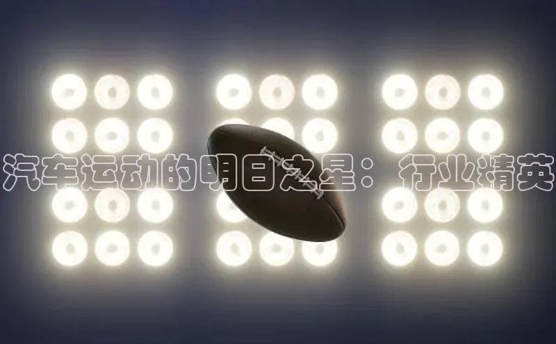 汽车运动的明日之星：行业精英