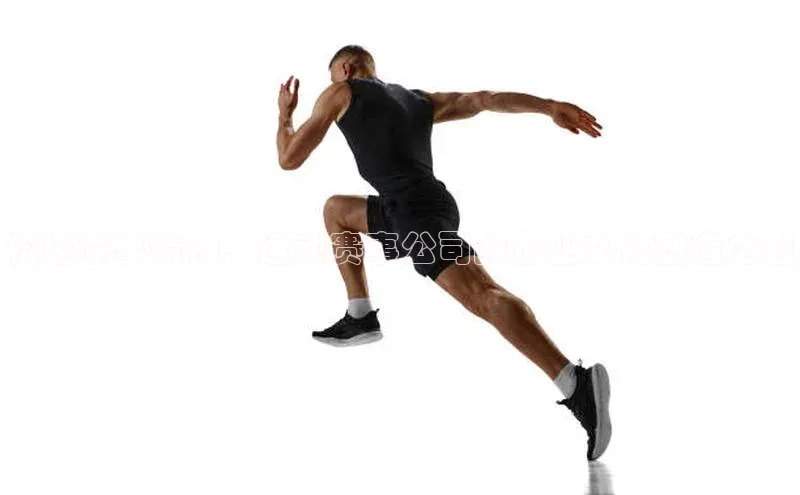 构建赛事精神：运动赛事公司的企业文化塑造之道