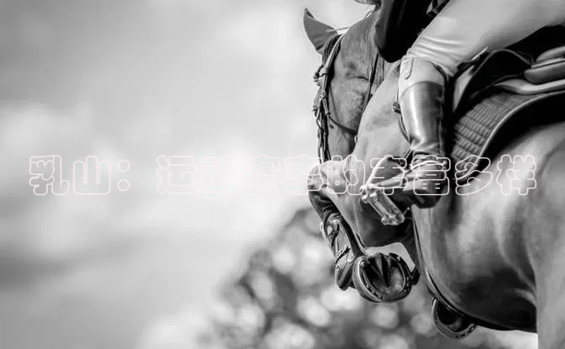 乳山：运动赛事的丰富多样