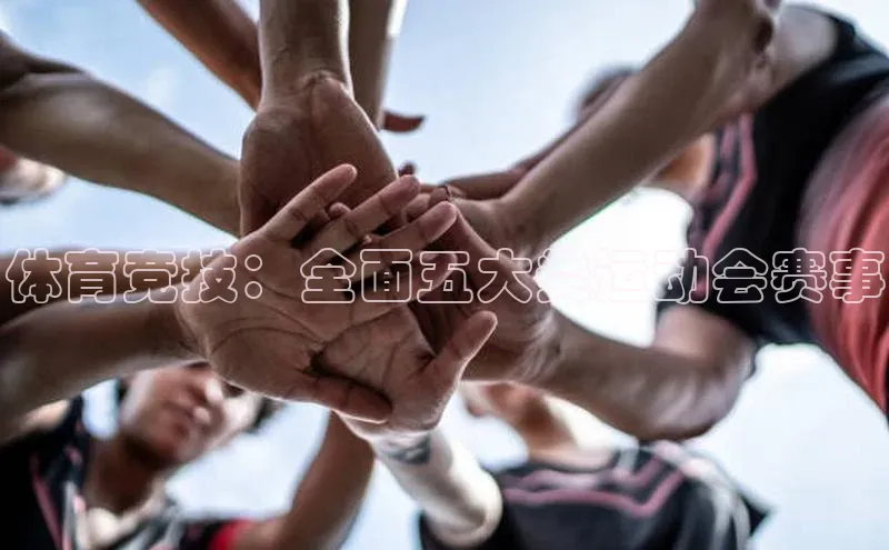 体育竞技：全面五大类运动会赛事